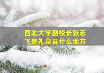 西北大学副校长张志飞是礼泉县什么地方