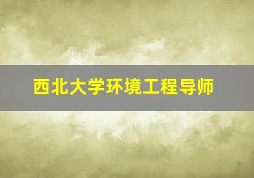 西北大学环境工程导师