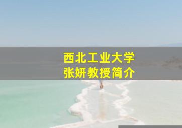 西北工业大学张妍教授简介