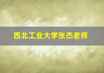 西北工业大学张杰老师