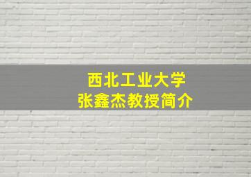 西北工业大学张鑫杰教授简介