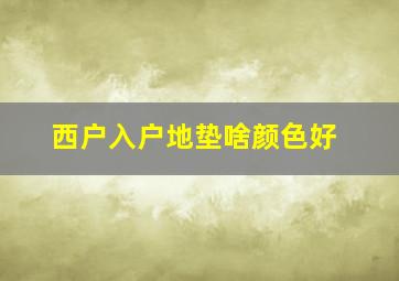 西户入户地垫啥颜色好