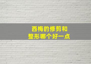 西梅的修剪和整形哪个好一点