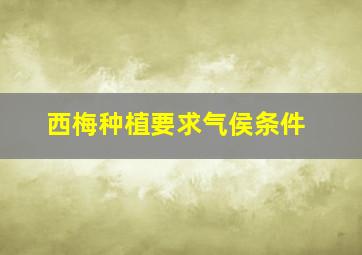 西梅种植要求气侯条件