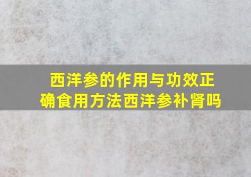 西洋参的作用与功效正确食用方法西洋参补肾吗