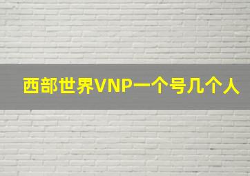 西部世界VNP一个号几个人