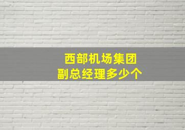 西部机场集团副总经理多少个