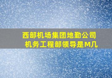 西部机场集团地勤公司机务工程部领导是M几