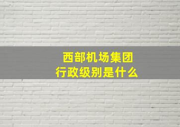 西部机场集团行政级别是什么