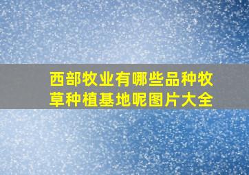 西部牧业有哪些品种牧草种植基地呢图片大全