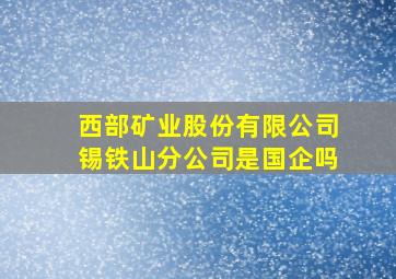 西部矿业股份有限公司锡铁山分公司是国企吗