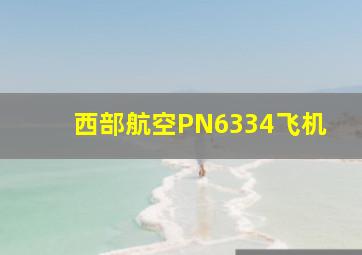 西部航空PN6334飞机