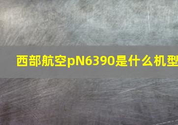 西部航空pN6390是什么机型