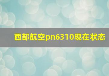 西部航空pn6310现在状态