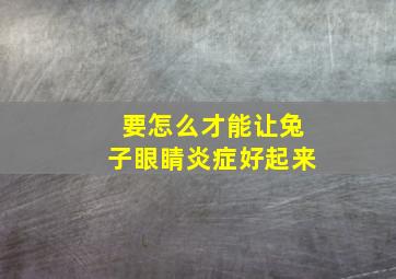 要怎么才能让兔子眼睛炎症好起来