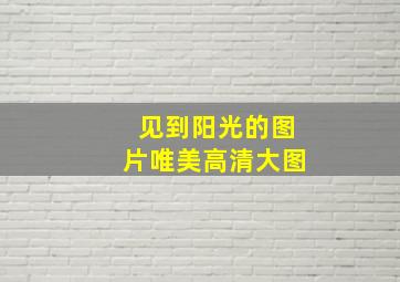 见到阳光的图片唯美高清大图