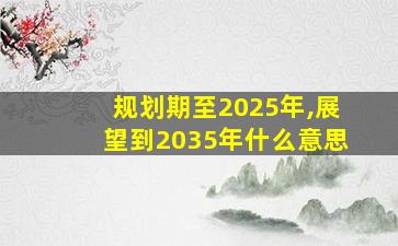 规划期至2025年,展望到2035年什么意思