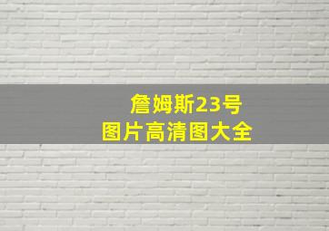 詹姆斯23号图片高清图大全