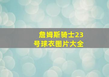 詹姆斯骑士23号球衣图片大全