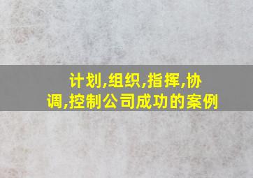 计划,组织,指挥,协调,控制公司成功的案例