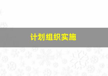 计划组织实施