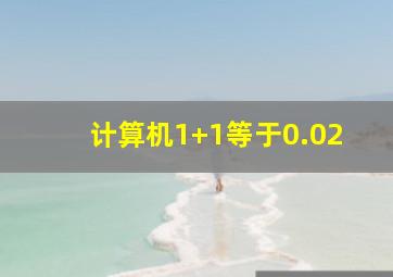 计算机1+1等于0.02