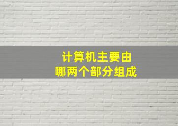 计算机主要由哪两个部分组成