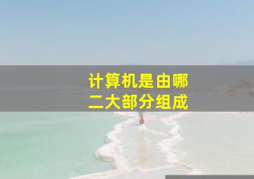 计算机是由哪二大部分组成