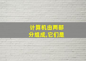 计算机由两部分组成,它们是