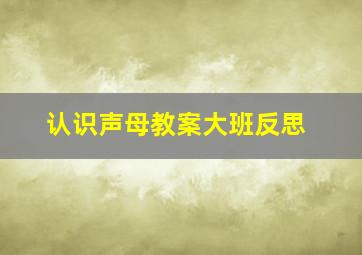 认识声母教案大班反思