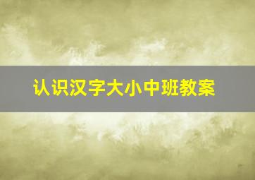 认识汉字大小中班教案