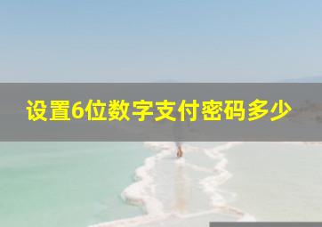 设置6位数字支付密码多少