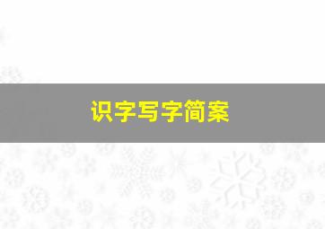 识字写字简案