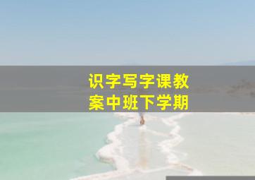 识字写字课教案中班下学期