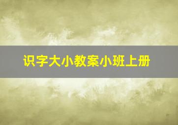 识字大小教案小班上册