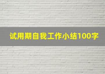 试用期自我工作小结100字