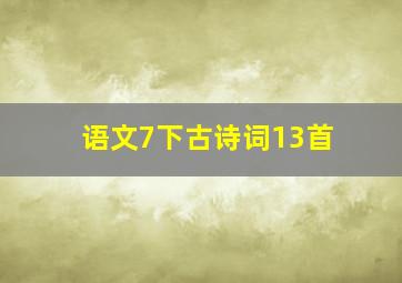 语文7下古诗词13首