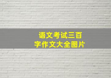 语文考试三百字作文大全图片