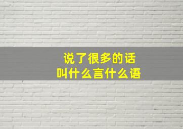 说了很多的话叫什么言什么语