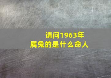 请问1963年属兔的是什么命人