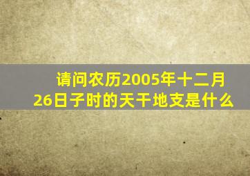 请问农历2005年十二月26日子时的天干地支是什么