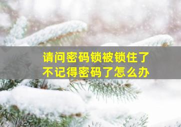 请问密码锁被锁住了不记得密码了怎么办