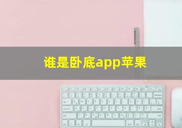 谁是卧底app苹果