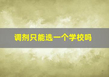 调剂只能选一个学校吗