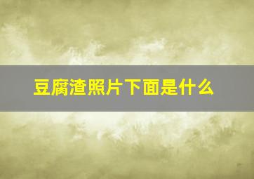 豆腐渣照片下面是什么