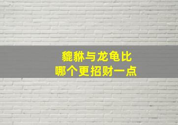 貔貅与龙龟比哪个更招财一点