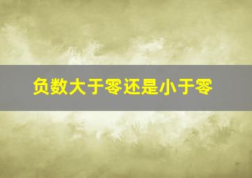 负数大于零还是小于零