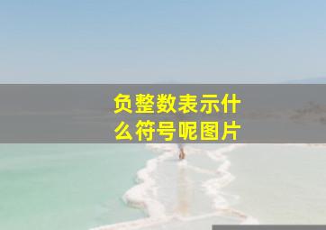 负整数表示什么符号呢图片