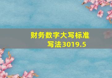 财务数字大写标准写法3019.5