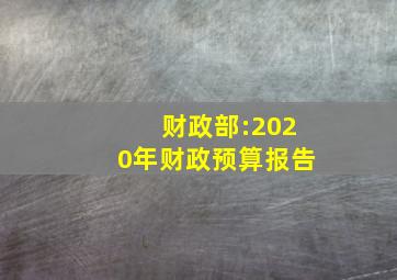 财政部:2020年财政预算报告